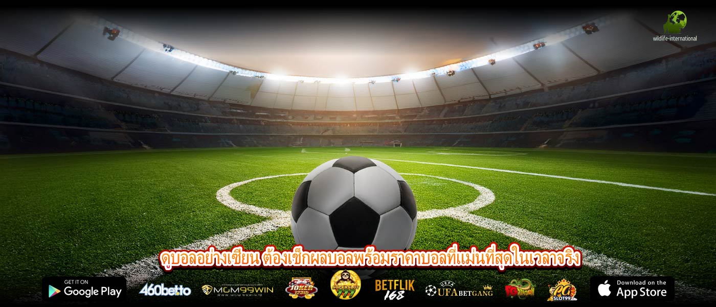 ดูบอลอย่างเซียน ต้องเช็กผลบอลพร้อมราคาบอลที่แม่นที่สุดในเวลาจริง