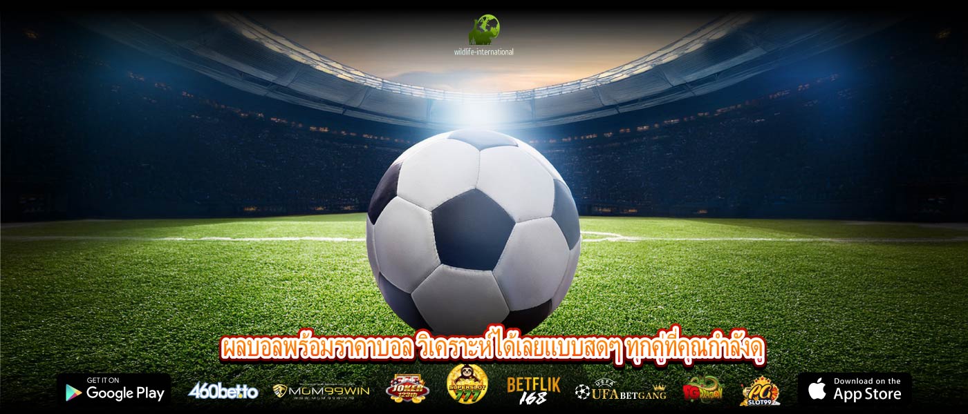 ผลบอลพร้อมราคาบอล วิเคราะห์ได้เลยแบบสดๆ ทุกคู่ที่คุณกำลังดู