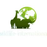 wildlife-international