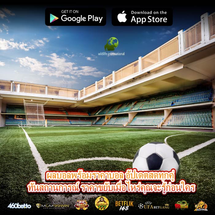 ผลบอลพร้อมราคาบอล อัปเดตสดทุกคู่ ทันสถานการณ์ ราคาขยับเมื่อไหร่คุณจะรู้ก่อนใคร